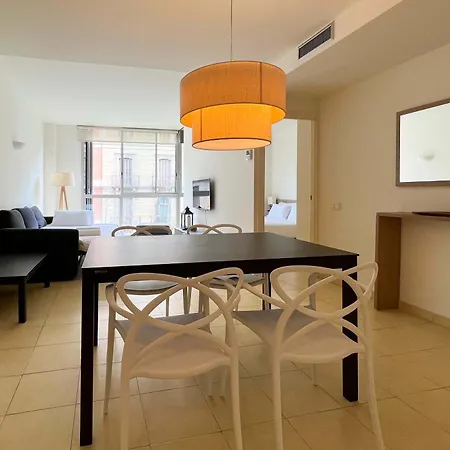 U-nique Pau Claris Apartment
